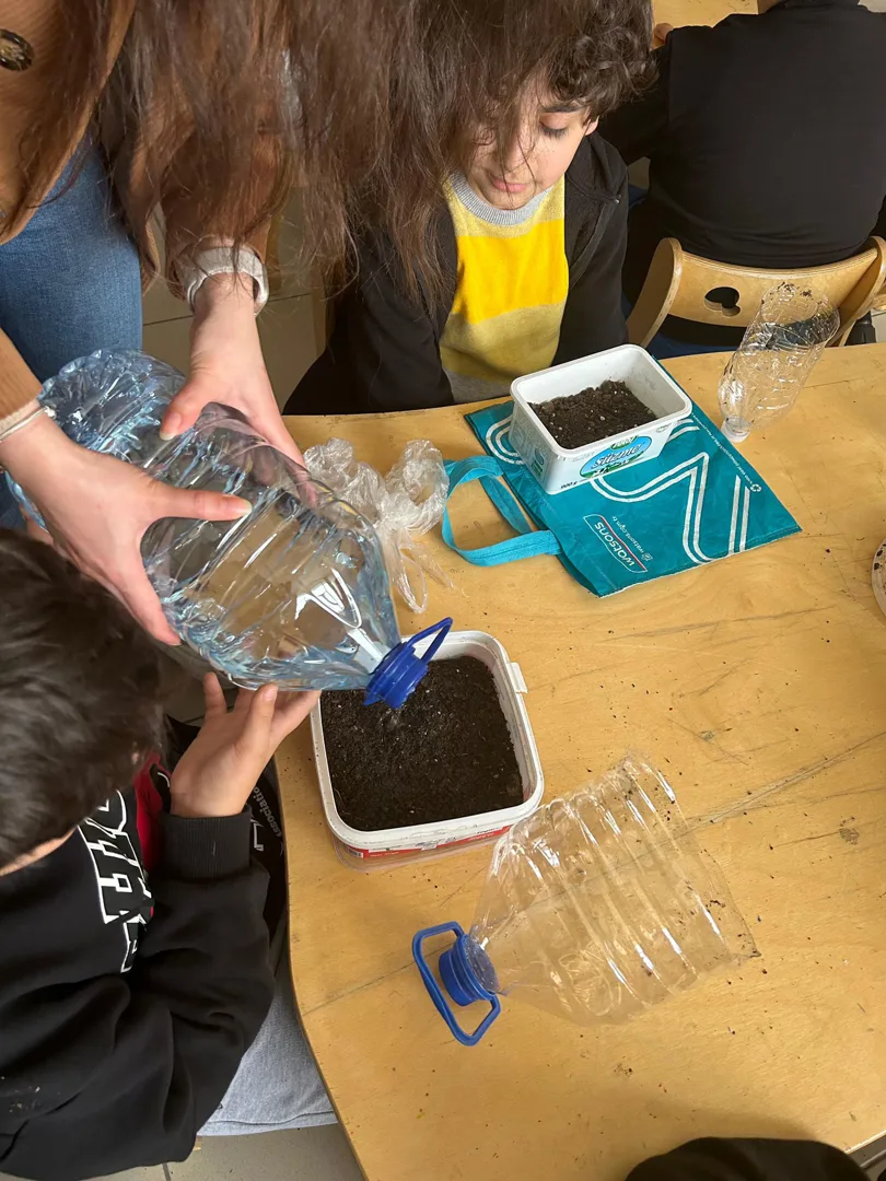 Mini Sera Tasarımı ... - 3