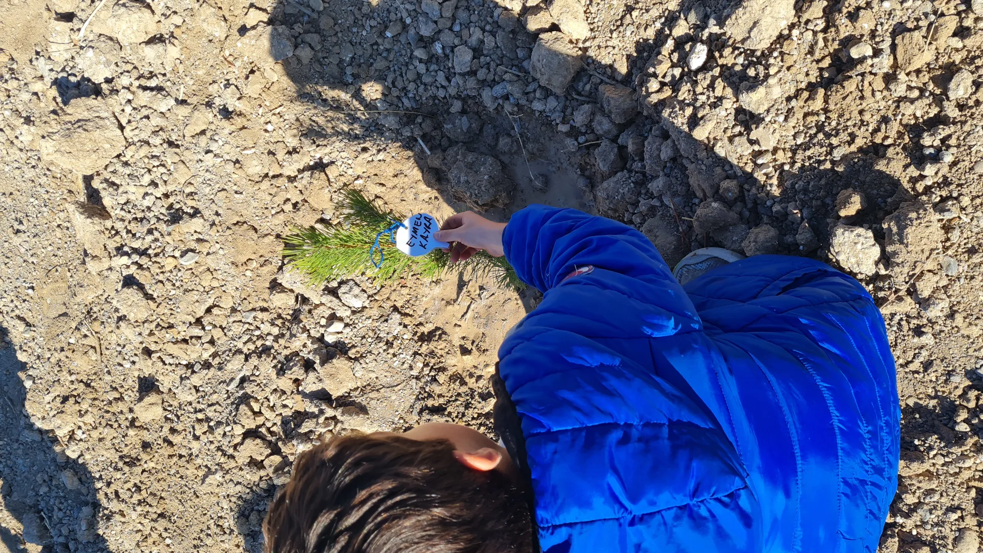 Doku Okulları Hatıra Ormanı 2. Etap Ağaç Dikimi faaliyetimizi gerçekleştirdik. - 3