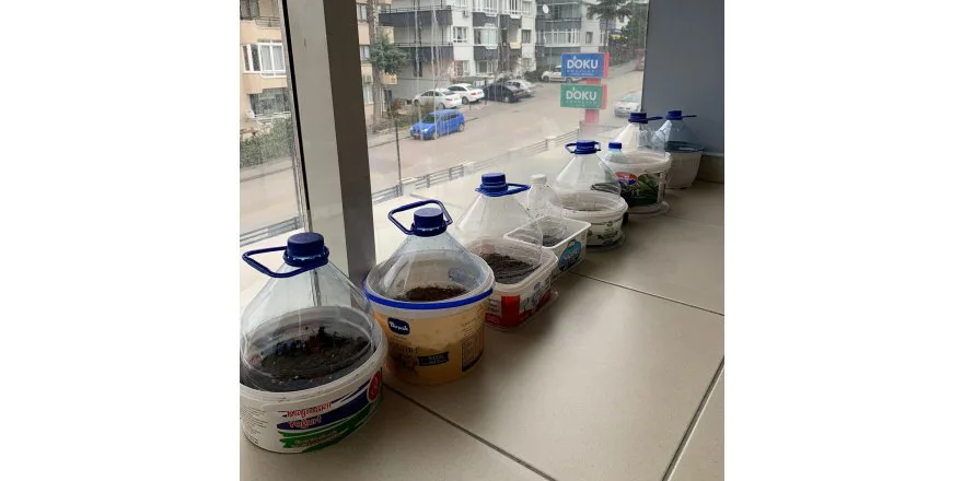 Mini Sera Tasarımı ...