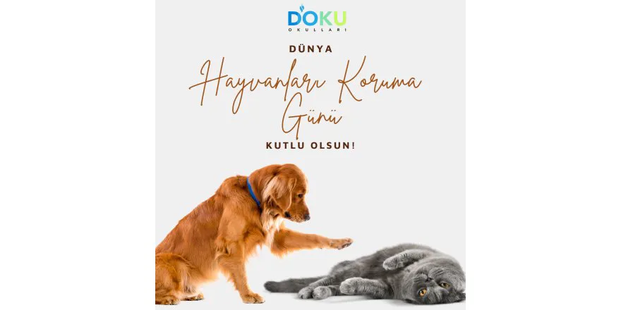 Hayvanları Seviyoruz....